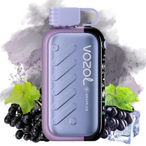 Vozol Gear 50.000 Grape